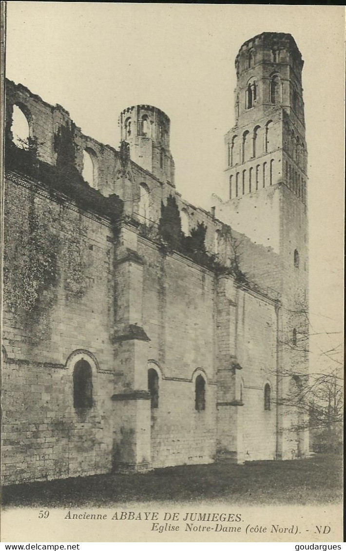 Ancienne Abbaye De Jumièges - Eglise Notre-Dame (côté Nord) - (P) - Jumieges
