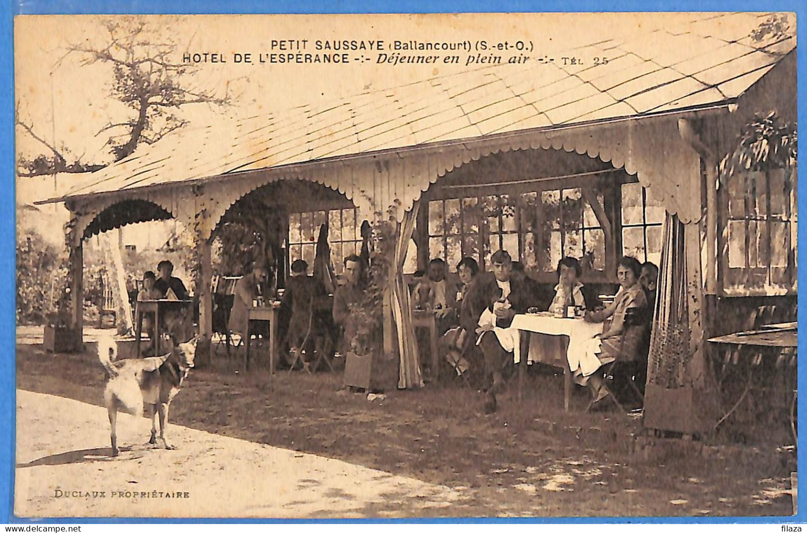 91 - Essonne - Ballancourt - Petit Saussaye - Hotel De L'Esperance (N15621) - Ballancourt Sur Essonne