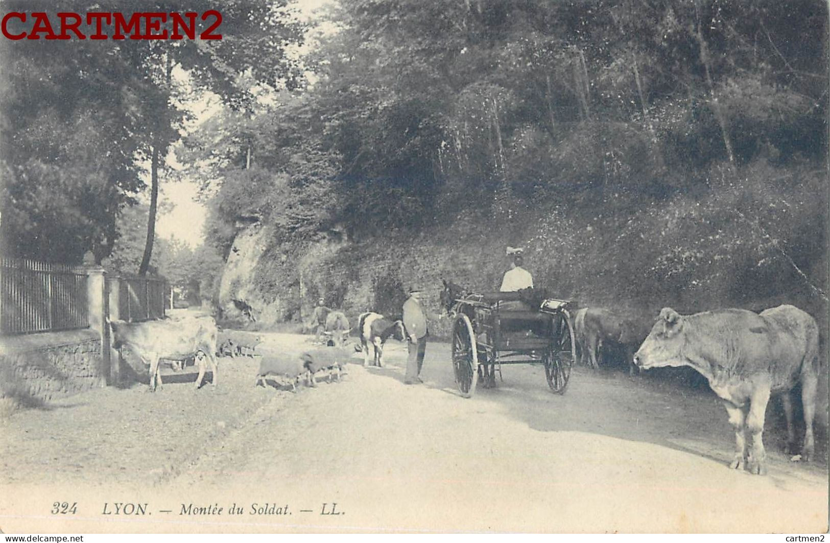 LYON MONTEE DU SOLDAT. ATTELAGE CHEVAL. BOEUFS - Autres & Non Classés