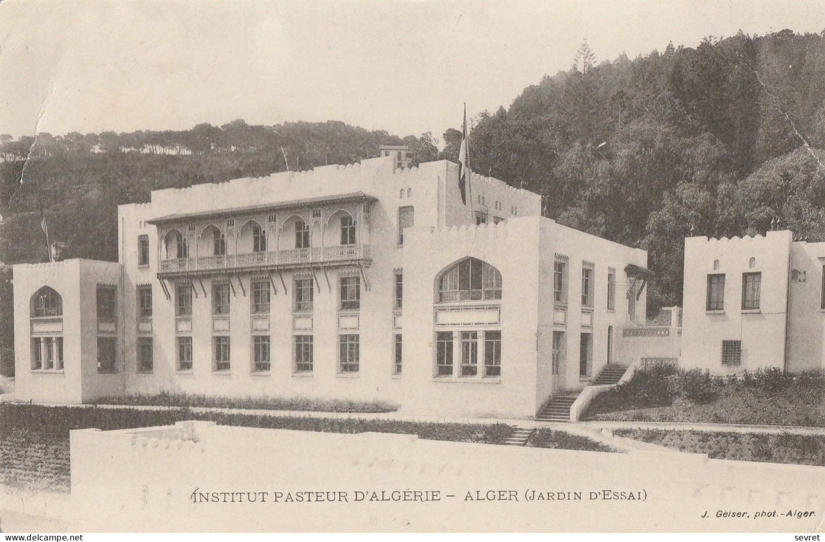 ALGER  - Institut Pasteur D'Algérie   Jardin D'Essai   RARE - Alger