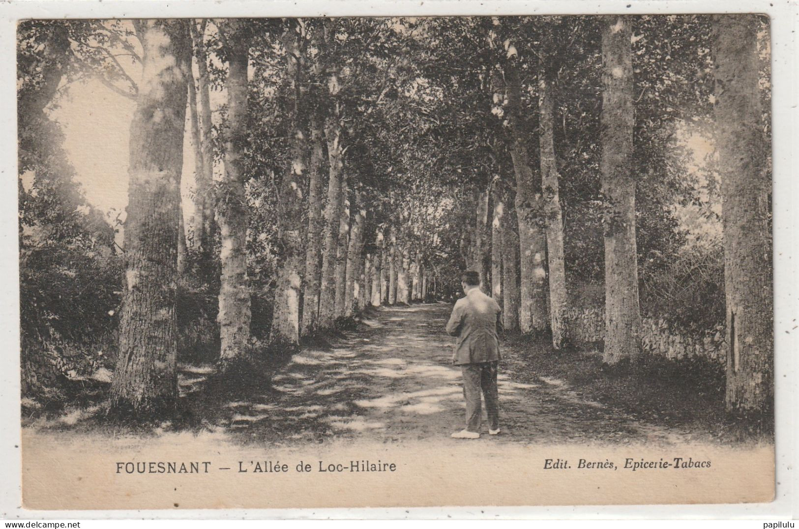 187 DEPT 29 : édit. Bernés épicerie : Fouesnant L'allée De Loc Hilaire - Fouesnant