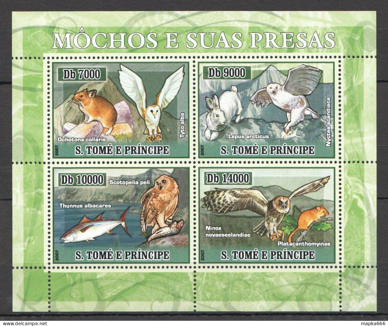 O0061 2007 Sao Tome & Principe Owls Fauna Animals & Birds 1Kb Mnh - Andere & Zonder Classificatie