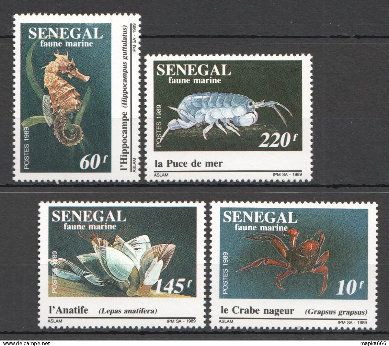Ft139 1989 Senegal Fauna Fishes Marine Life #1041-44 1Set Mnh - Mundo Aquatico