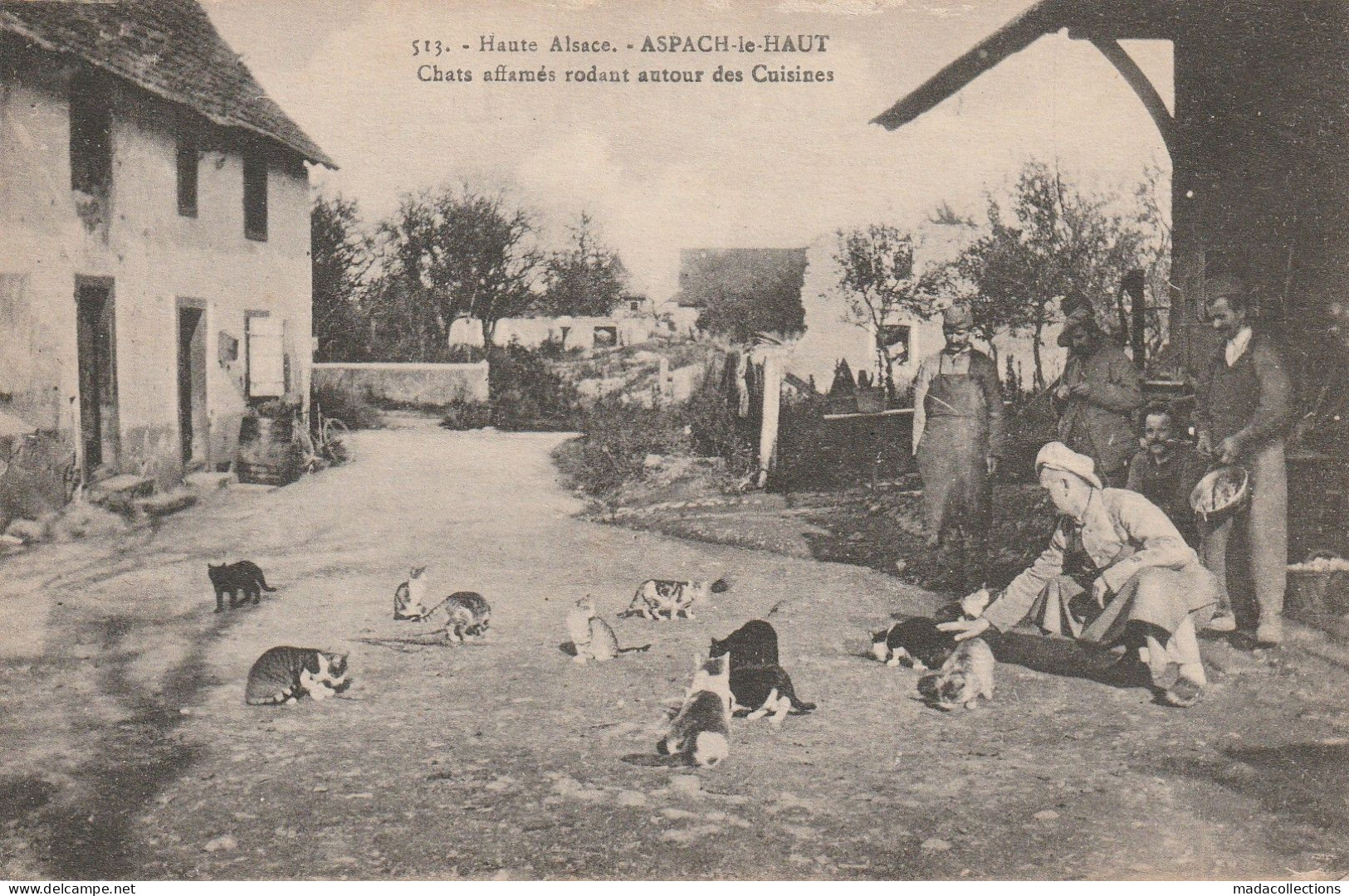 Aspach Le Haut (68 - Haut Rhin) Chats Affamés Rôdant Autour Des Cuisines - Autres & Non Classés