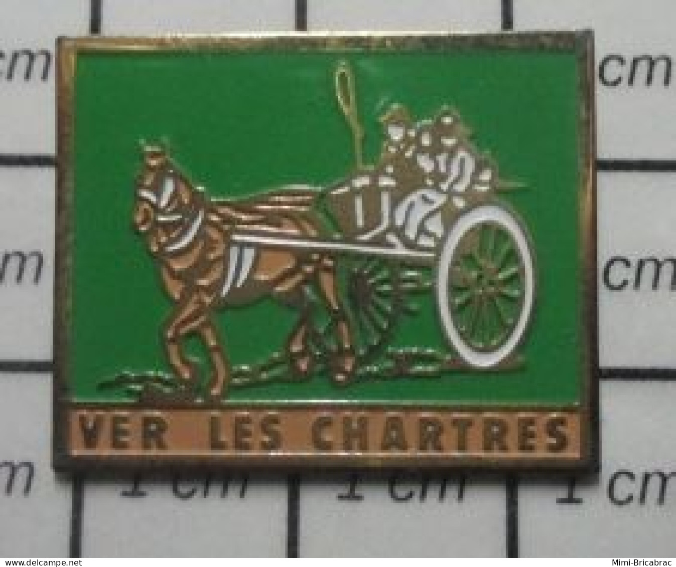 1618c Pin's Pins / Rare Et De Belle Qualité ! VILLES / VER LES CHARTRES ATTELAGE CHEVAL CARRIOLE - Steden