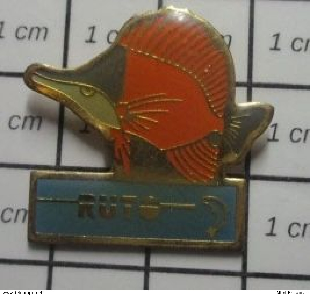 3417 Pin's Pins / Beau Et Rare : ANIMAUX / POISSON TROPICAL RUTO BAGA - Dieren