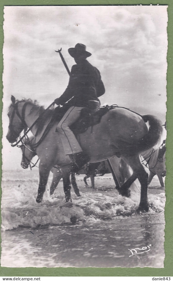 CPSM Format CPA  - BOUCHES DU RHONE - SAINTES MARIES DE LA MER - Gardians Pénétrant Dans La Mer - Chevaux - Saintes Maries De La Mer