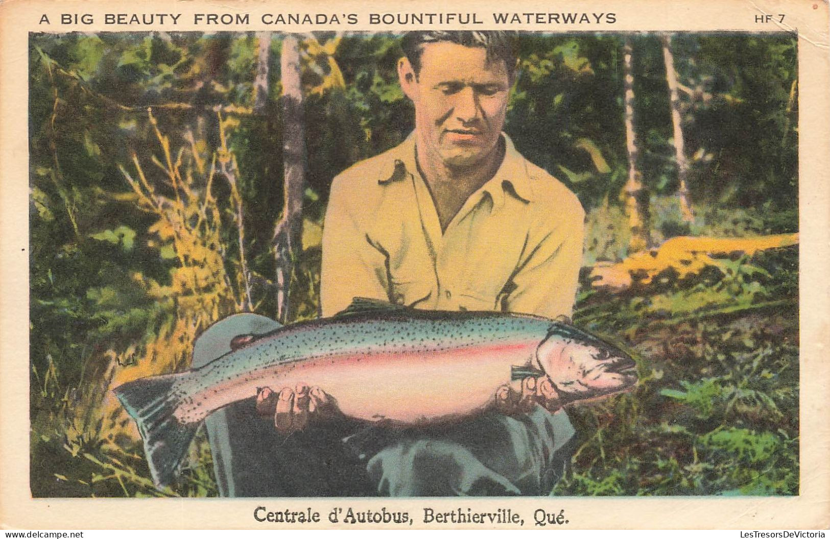 CANADA - Centrale D'Autobus - Berthierville - Qué - Big Beauty From Canada's - Carte Postale Ancienne - Andere & Zonder Classificatie