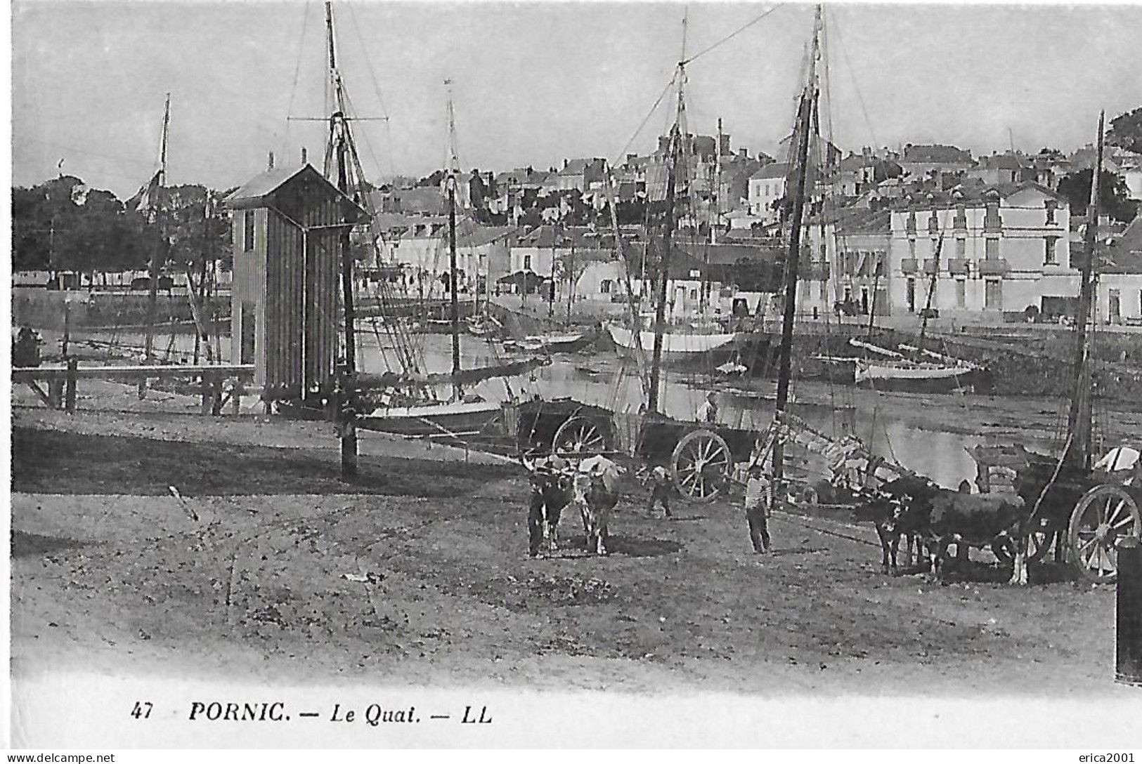 Pornic. Attelages De Boeufs Sur Le Quai . - Pornic