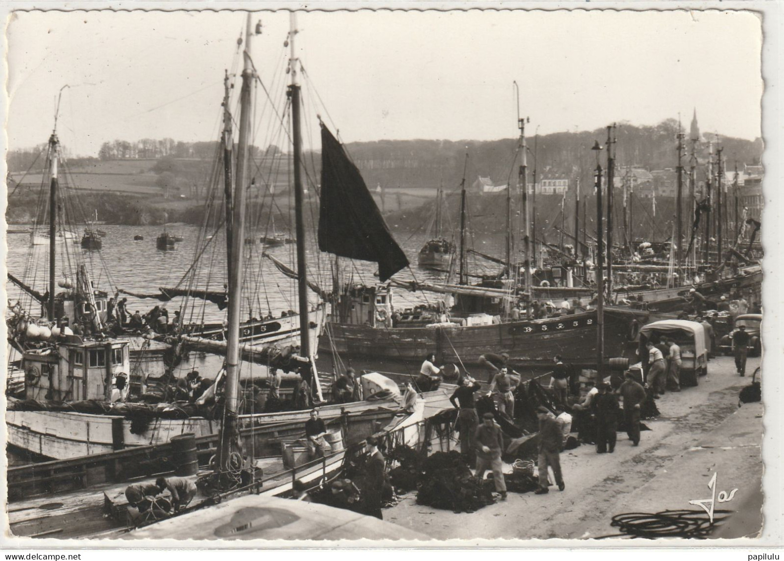 192 DEPT 29 : édit. Jos Le Doaré N° 421 : Douarnenez Le Port De Pèche Au Retour De La Pèche Aux Maquereaux - Douarnenez