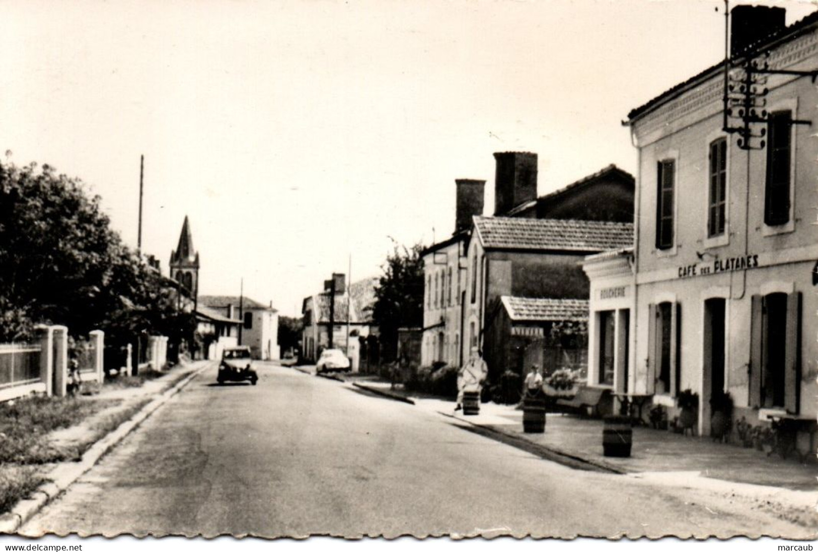 CPSM 40 Landes - CAMPAGNE - Route De Bayonne - Autres & Non Classés