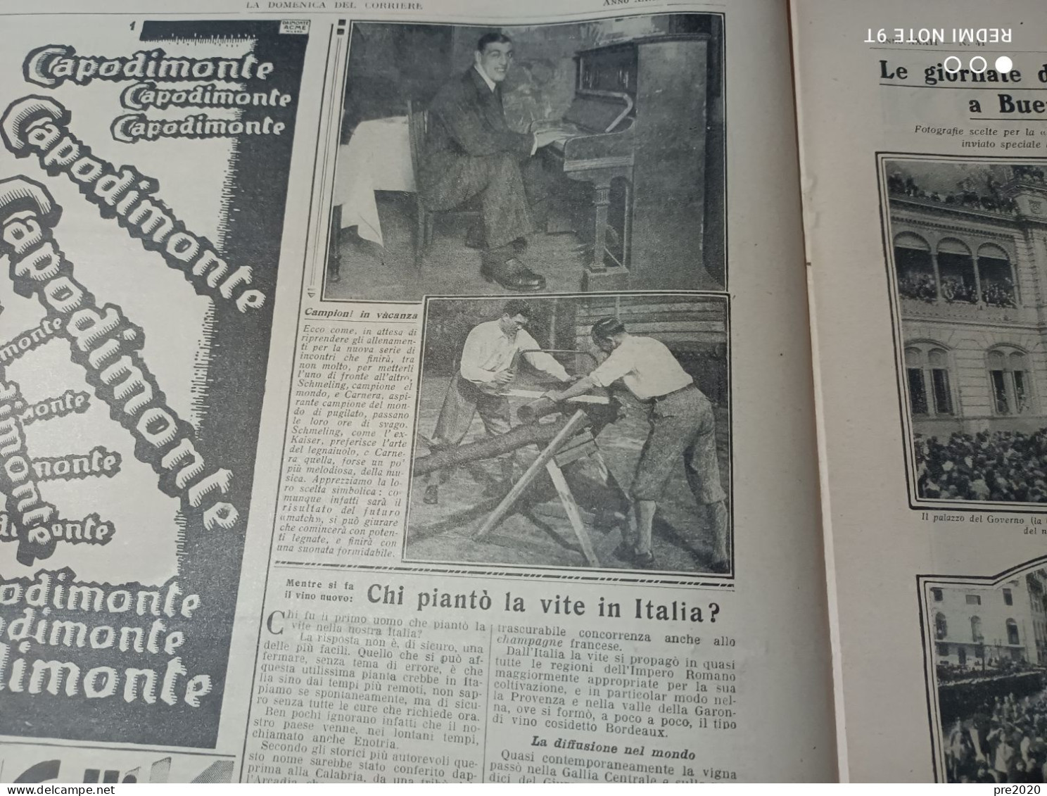 DOMENICA DEL CORRIERE 1930 CECINA PRIMO CARNERA FESTA DELL’UVA A ROMA ARTICOLO DI ARMANDO FALCONI - Andere & Zonder Classificatie