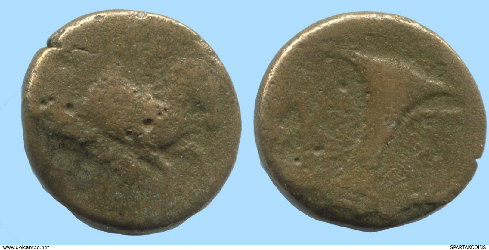 AIOLIS KYME HORSE SKYPHOS Authentic Ancient GREEK Coin 4.6g/16mm #AF989.12.U.A - Greche