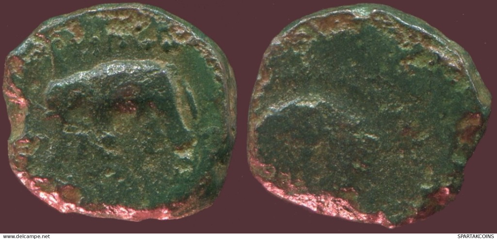 ELEPHANT Antike Authentische Original GRIECHISCHE Münze 1.3g/10mm #ANT1662.10.D.A - Grecques