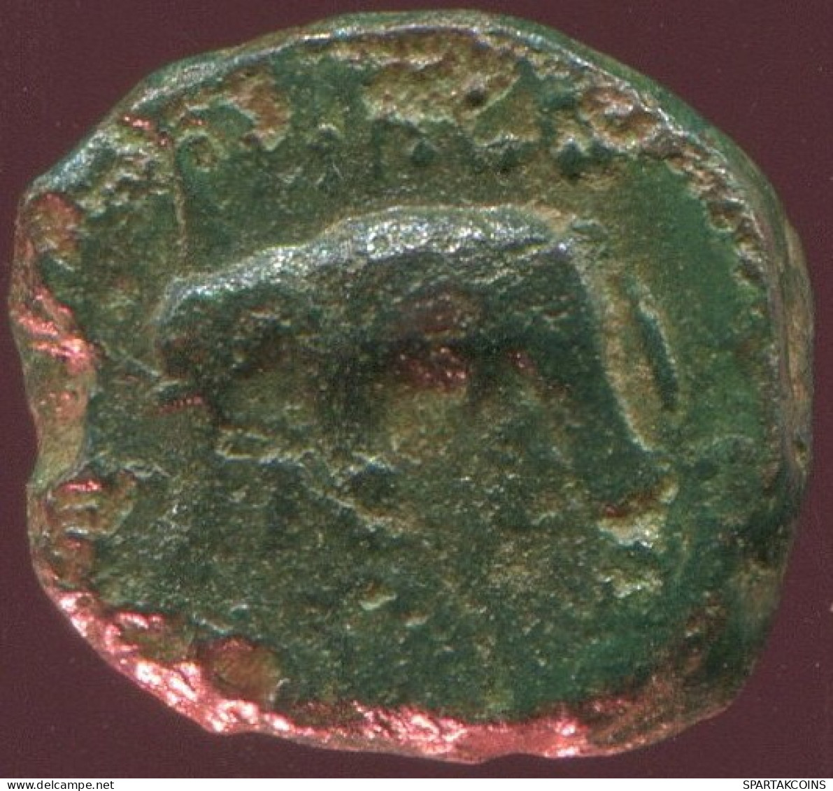 ELEPHANT Antike Authentische Original GRIECHISCHE Münze 1.3g/10mm #ANT1662.10.D.A - Greche