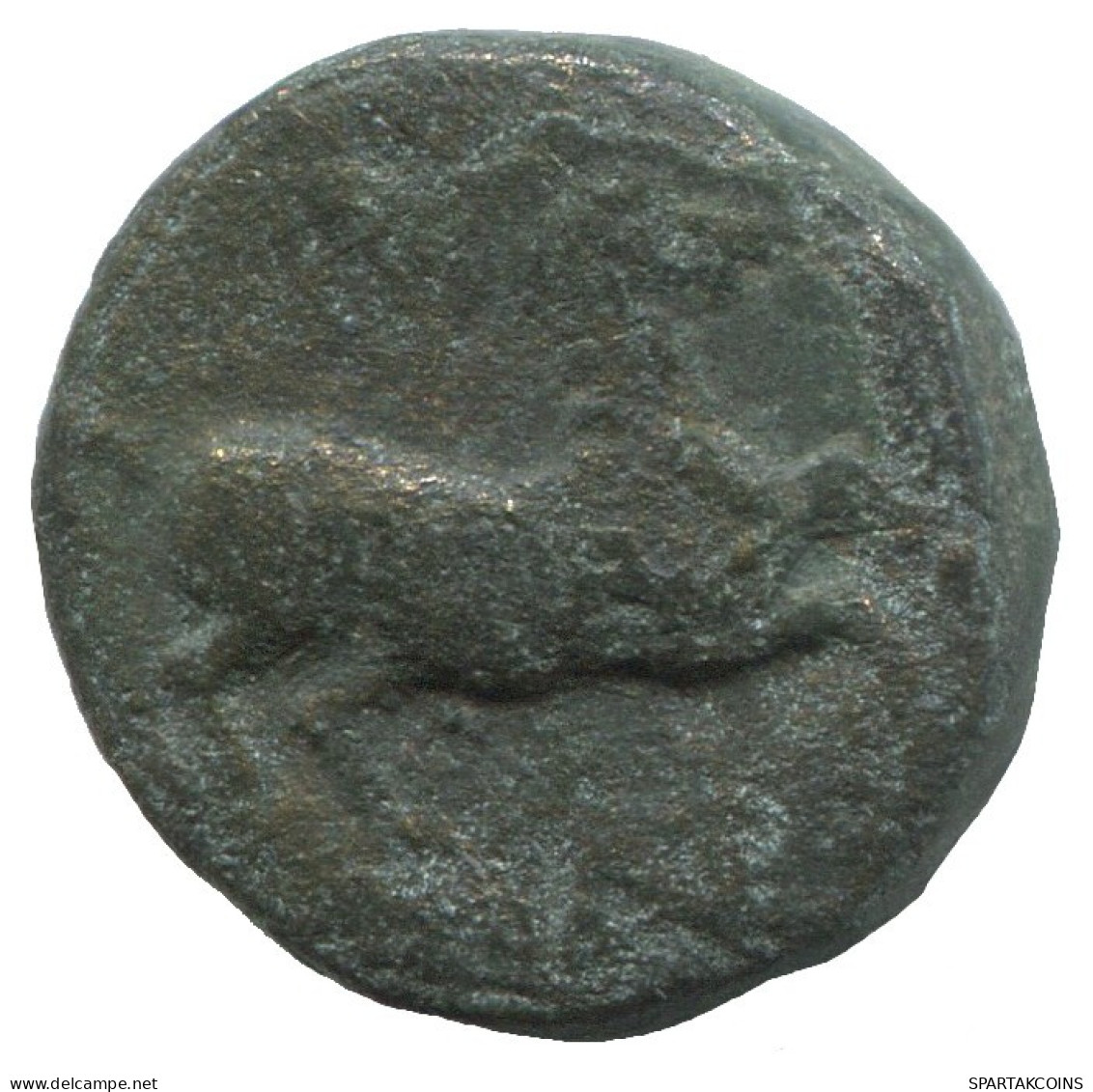 HORSE Antiguo GRIEGO ANTIGUO Moneda 3.7g/15mm #SAV1184.11.E.A - Greche