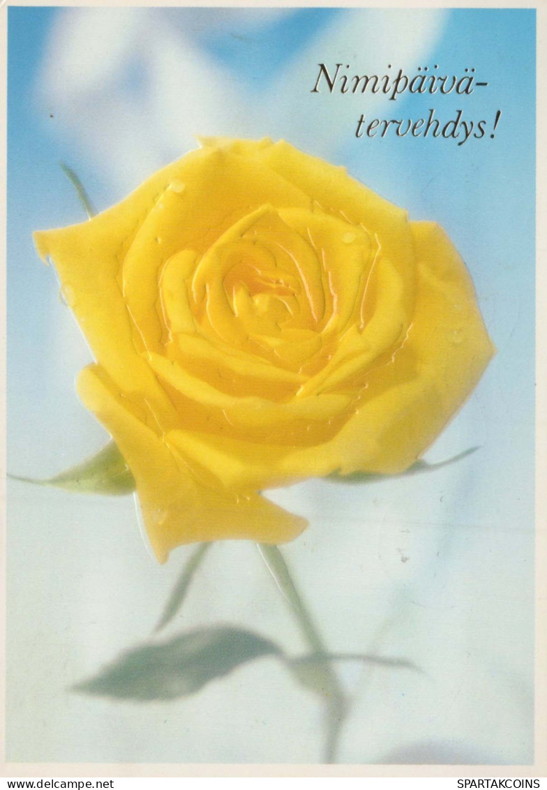 FLOWERS Vintage Postcard CPSM #PAS344.A - Flowers