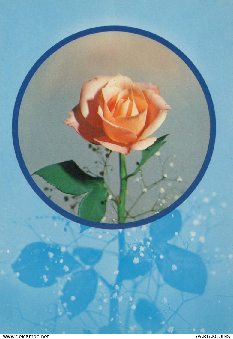 FLEURS Vintage Carte Postale CPSM #PAS332.A - Flowers
