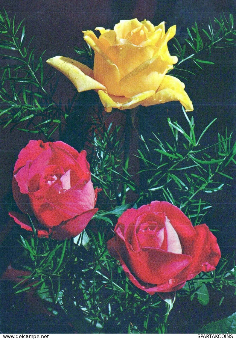 FLOWERS Vintage Postcard CPSM #PAS014.A - Flowers