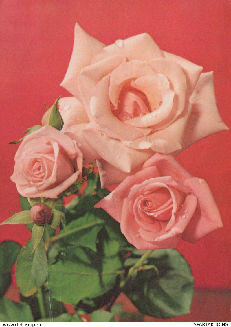FLOWERS Vintage Postcard CPSM #PAR968.A - Flowers