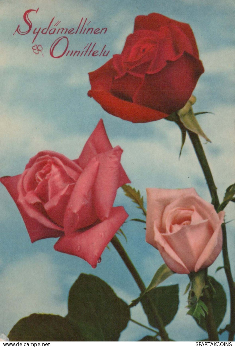 FLOWERS Vintage Postcard CPSM #PAR938.A - Bloemen