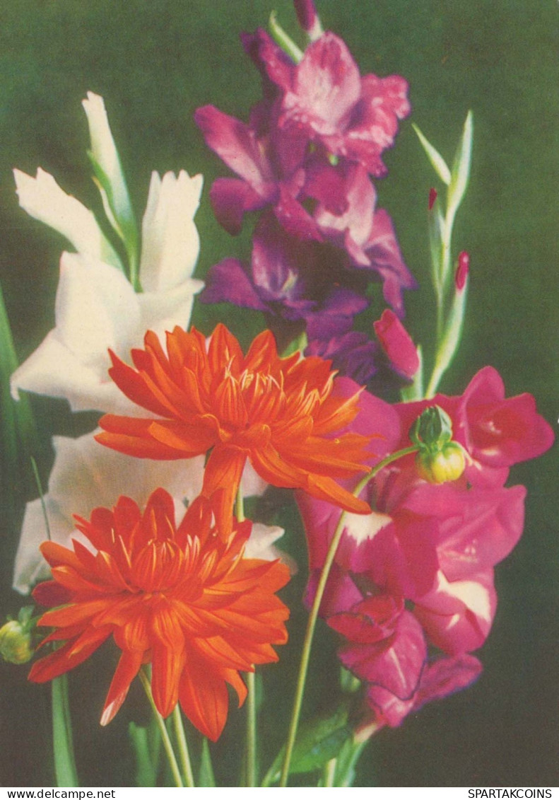 FLOWERS Vintage Postcard CPSM #PAR713.A - Bloemen