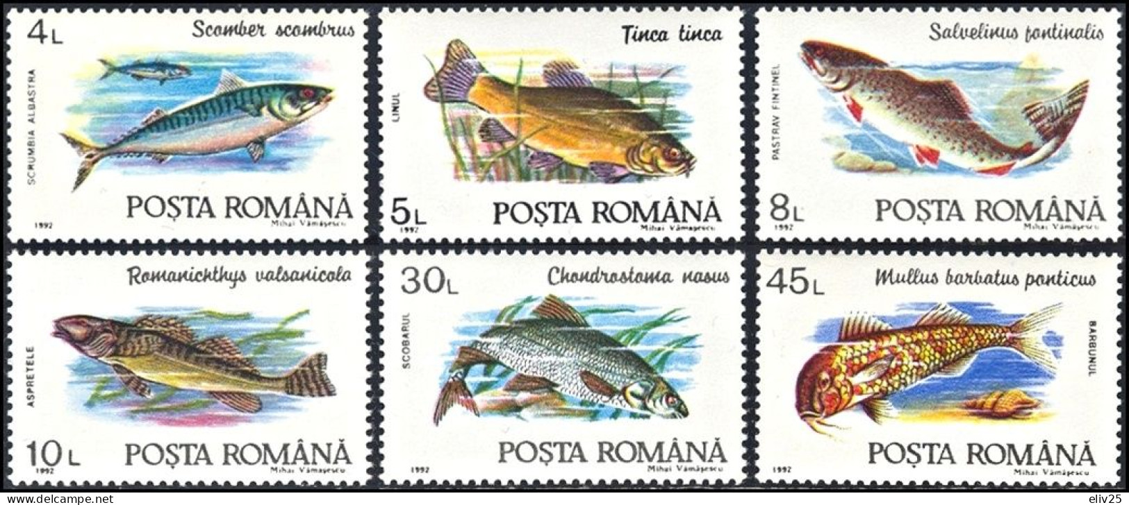 Romania 1992, Fish Fishes - 6 V. MNH - Fishes