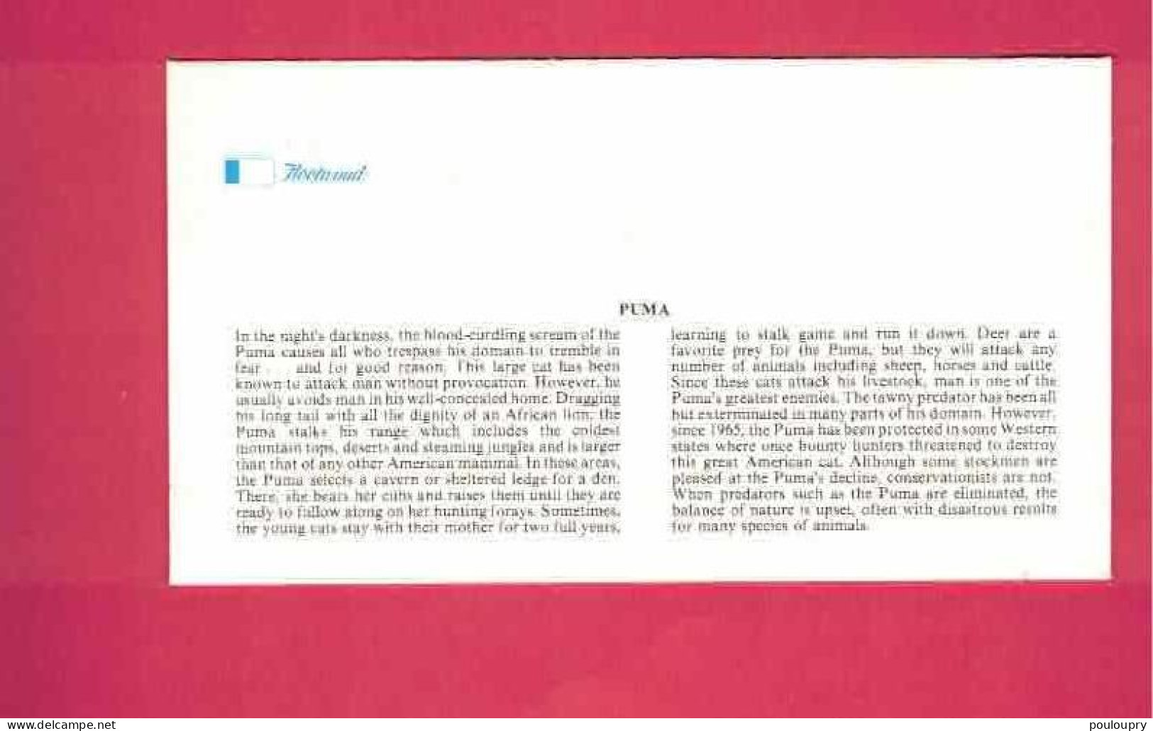 FDC - Lettre De 1981 Des USA EUAN - YT N° 1322 - Puma - Felinos