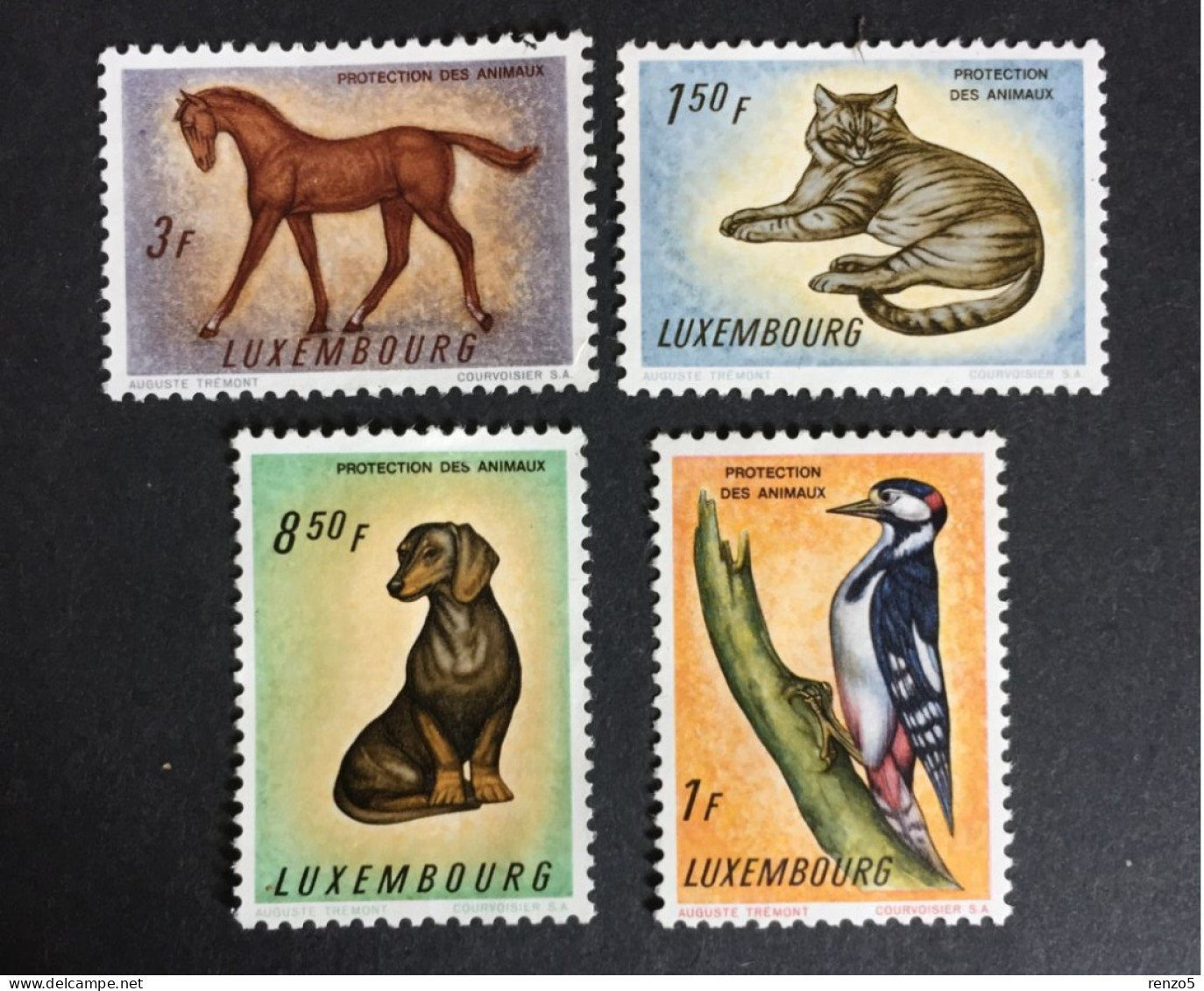 1961 Luxembourg - Animal Protection Campaign - Unused ( No Gum ) - Nuovi