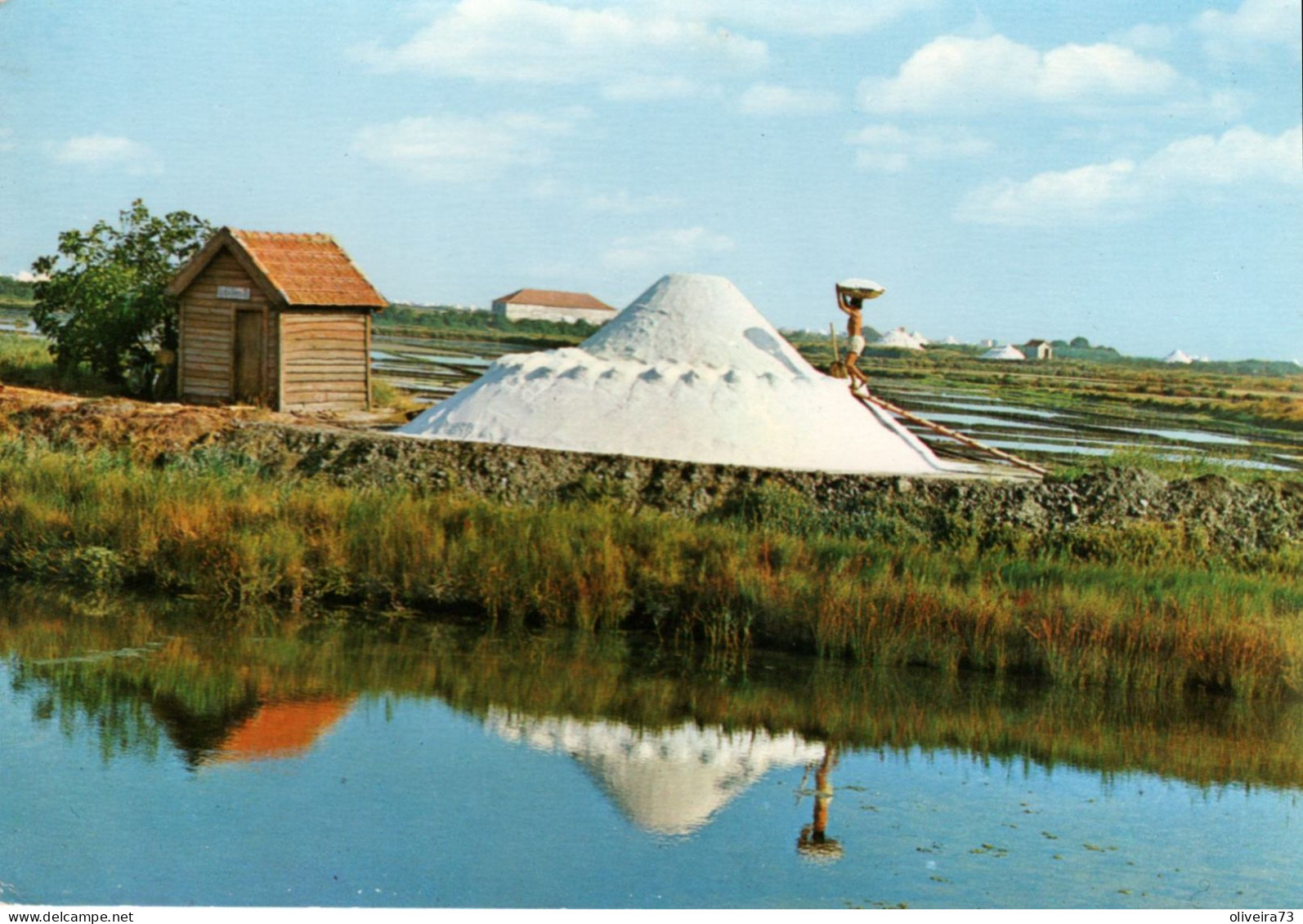 AVEIRO - Monte De Sal - PORTUGAL - Aveiro