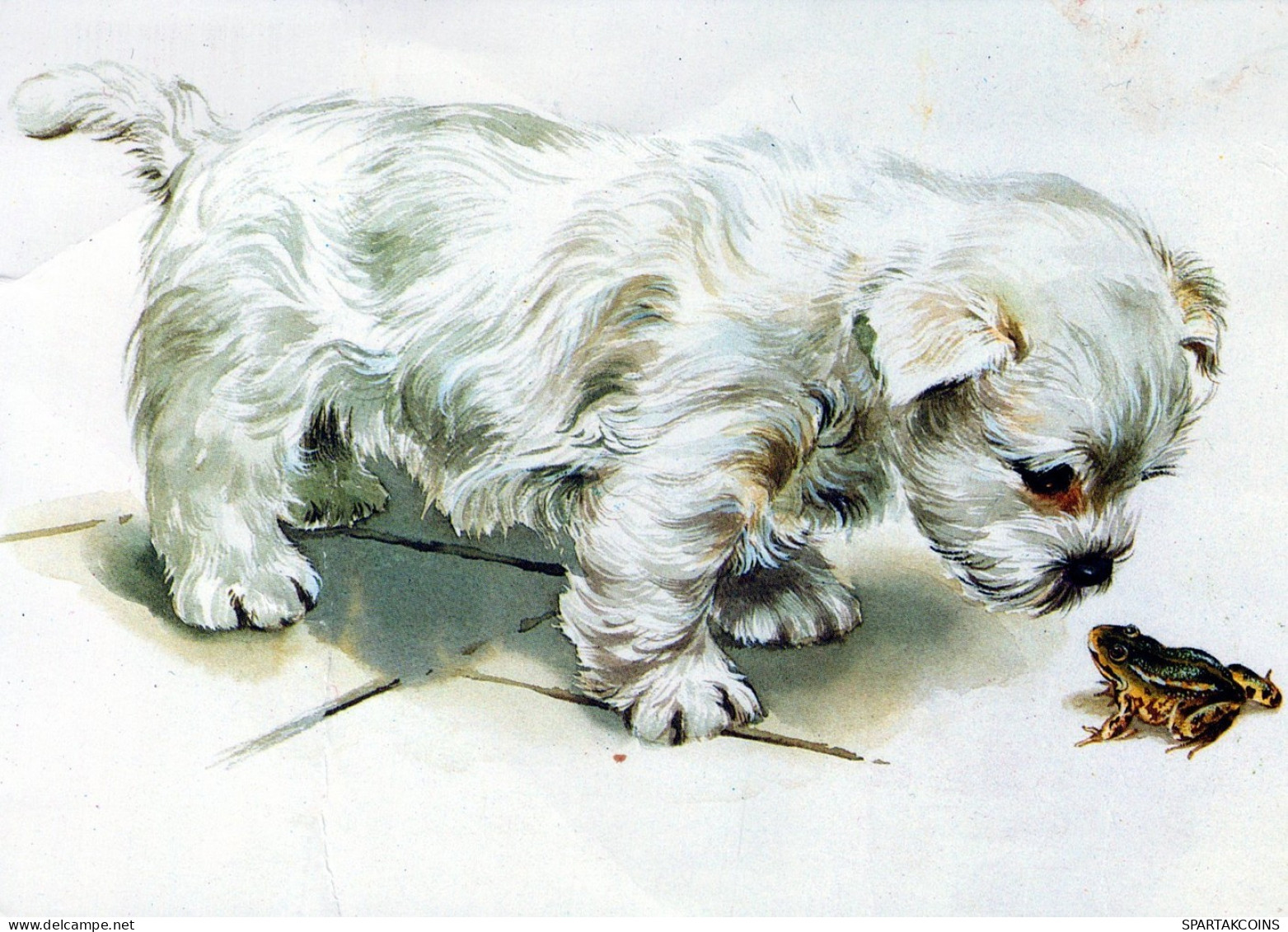 HUND Tier Vintage Ansichtskarte Postkarte CPSM #PAN696.A - Dogs