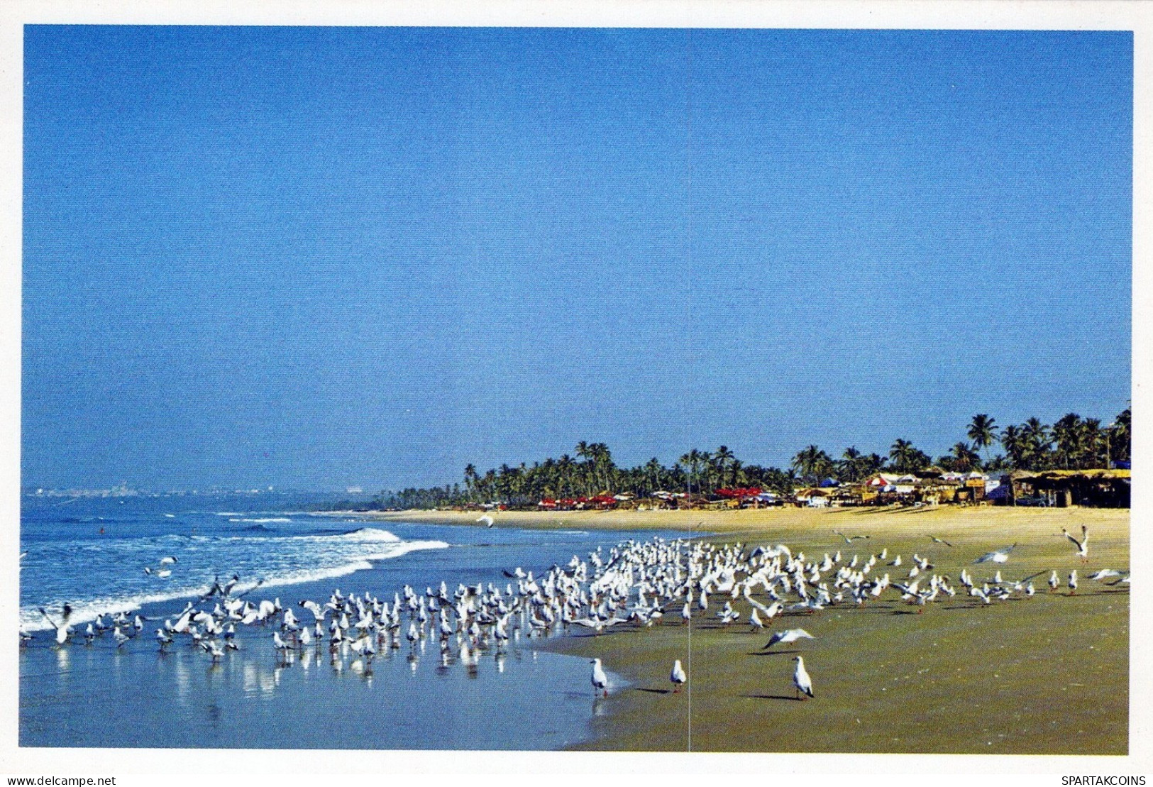 VOGEL Tier Vintage Ansichtskarte Postkarte CPSM #PAN411.A - Pájaros