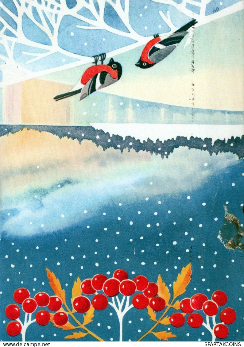 OISEAU Animaux Vintage Carte Postale CPSM #PAN015.A - Vögel