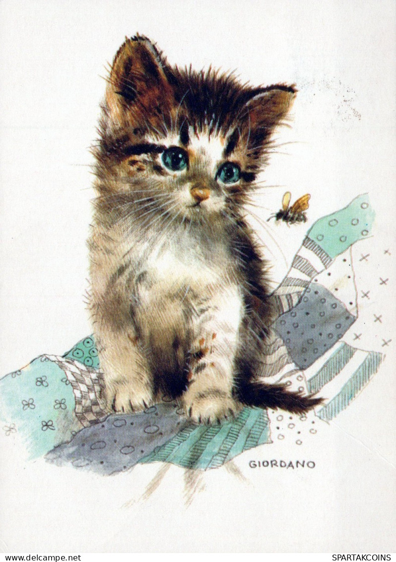 GATTO KITTY Animale Vintage Cartolina CPSM #PAM583.A - Chats