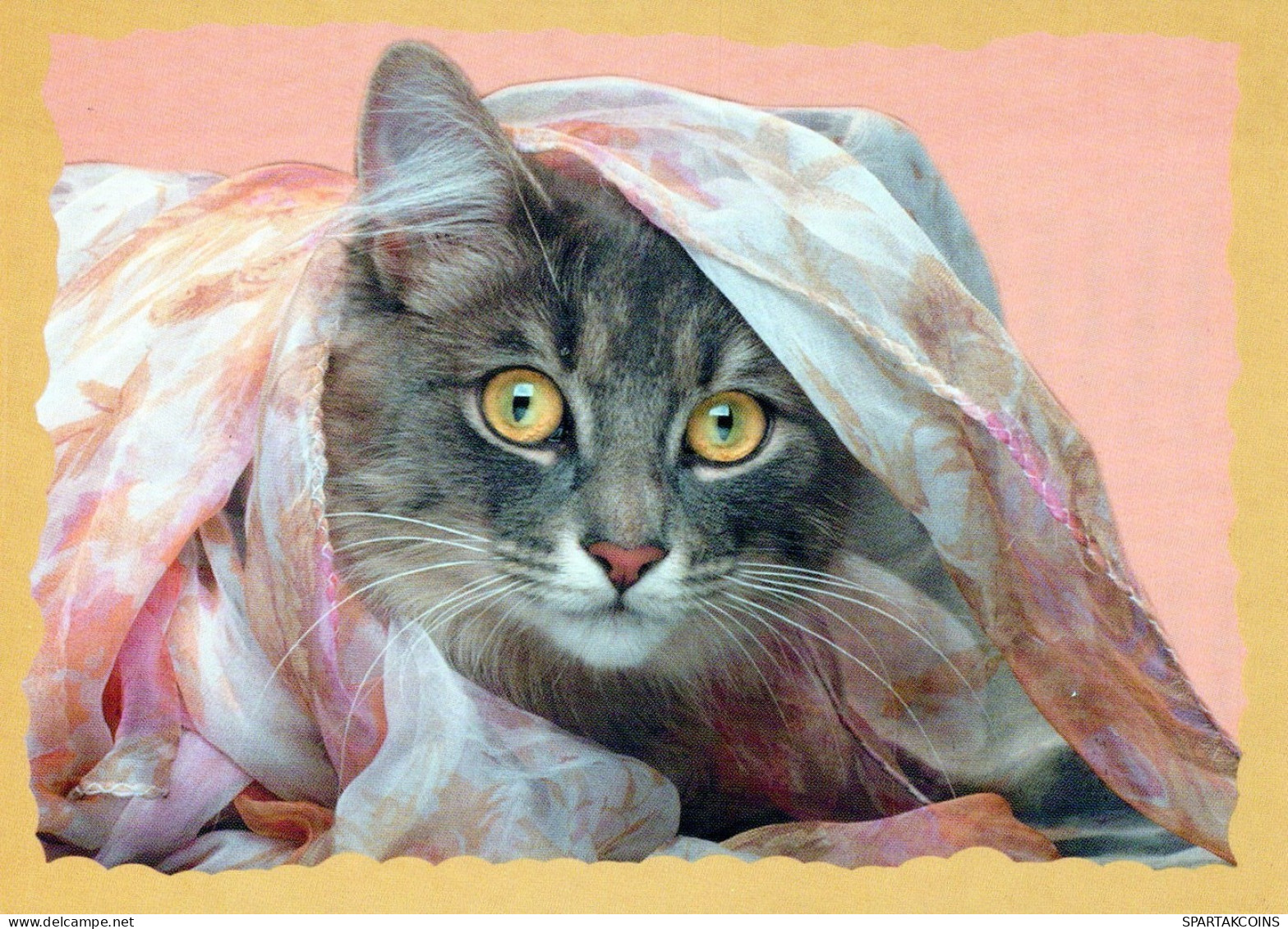CAT KITTY Animals Vintage Postcard CPSM #PAM471.A - Katzen