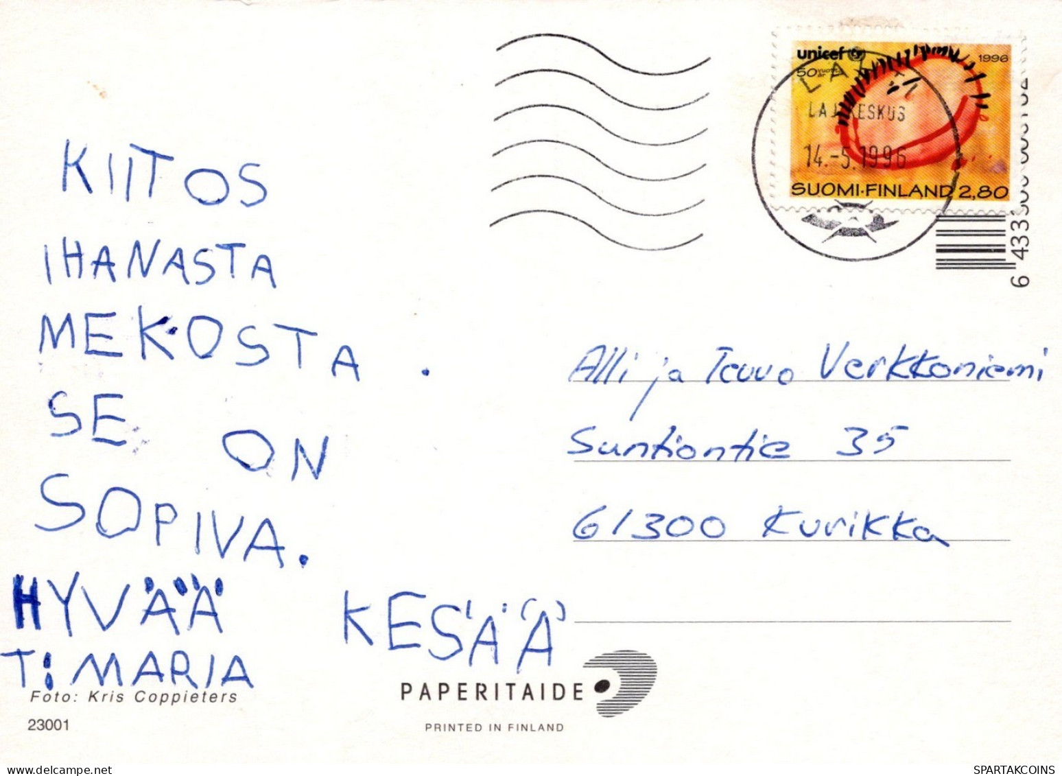 GATO GATITO Animales Vintage Tarjeta Postal CPSM #PAM512.A - Chats