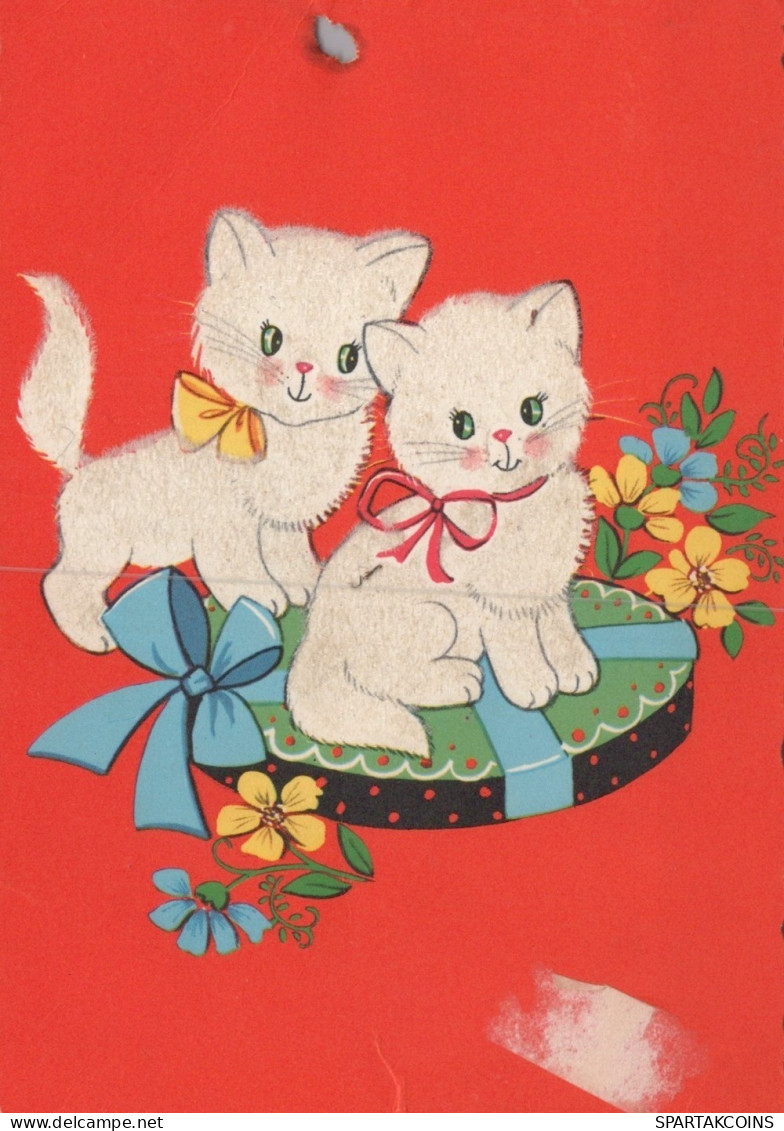 KATZE MIEZEKATZE Tier Vintage Ansichtskarte Postkarte CPSM #PAM325.A - Katzen