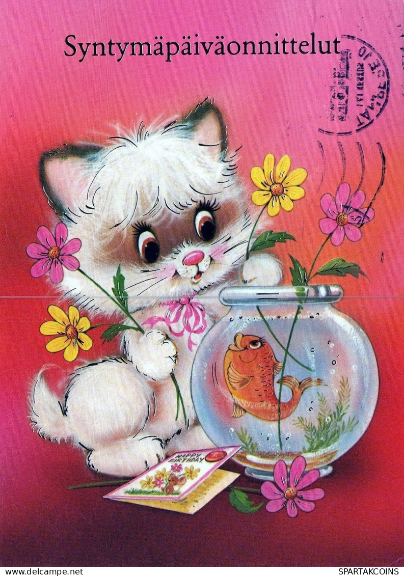 GATTO KITTY Animale Vintage Cartolina CPSM #PAM268.A - Katten