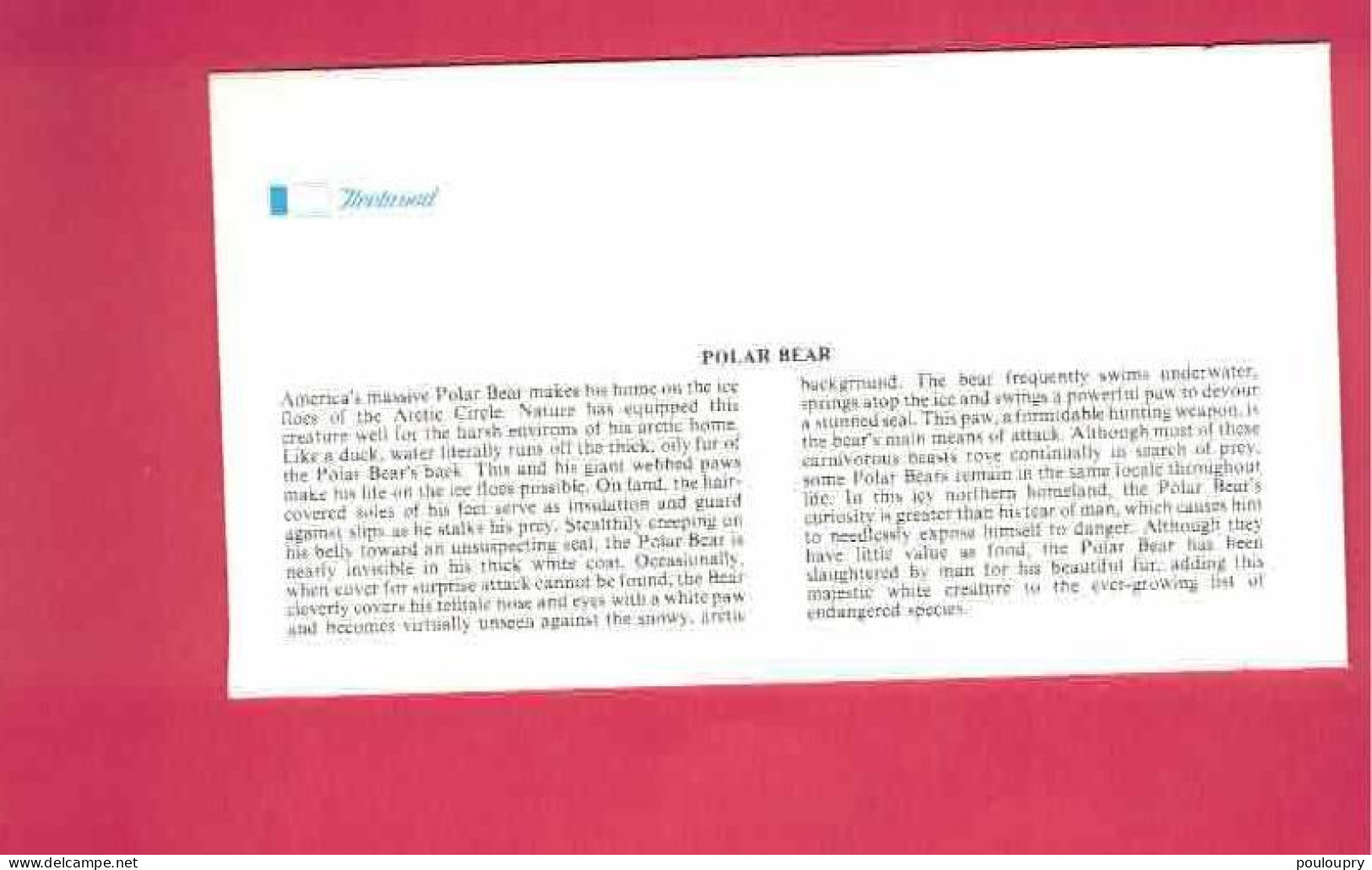 FDC - Lettre De 1981 Des USA EUAN - YT N° 1326 - Ours Polaire - Bären