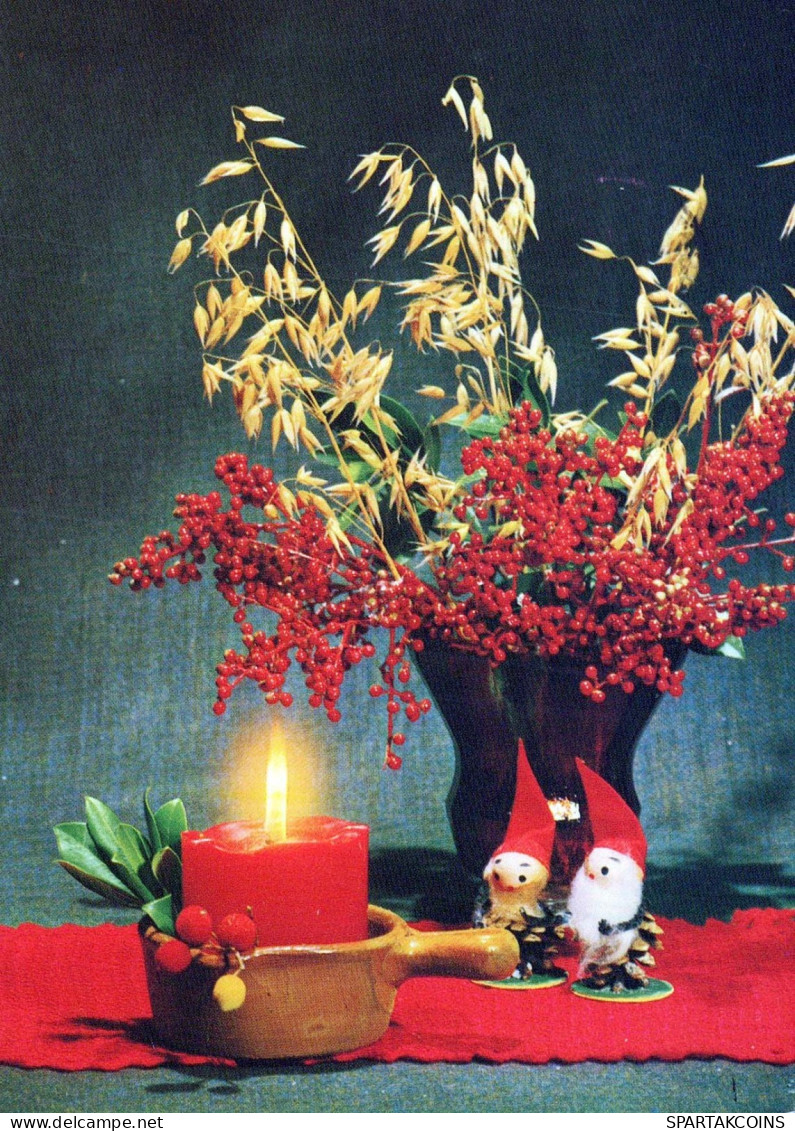 SANTA CLAUS Happy New Year Christmas GNOME Vintage Postcard CPSM #PAY499.A - Santa Claus
