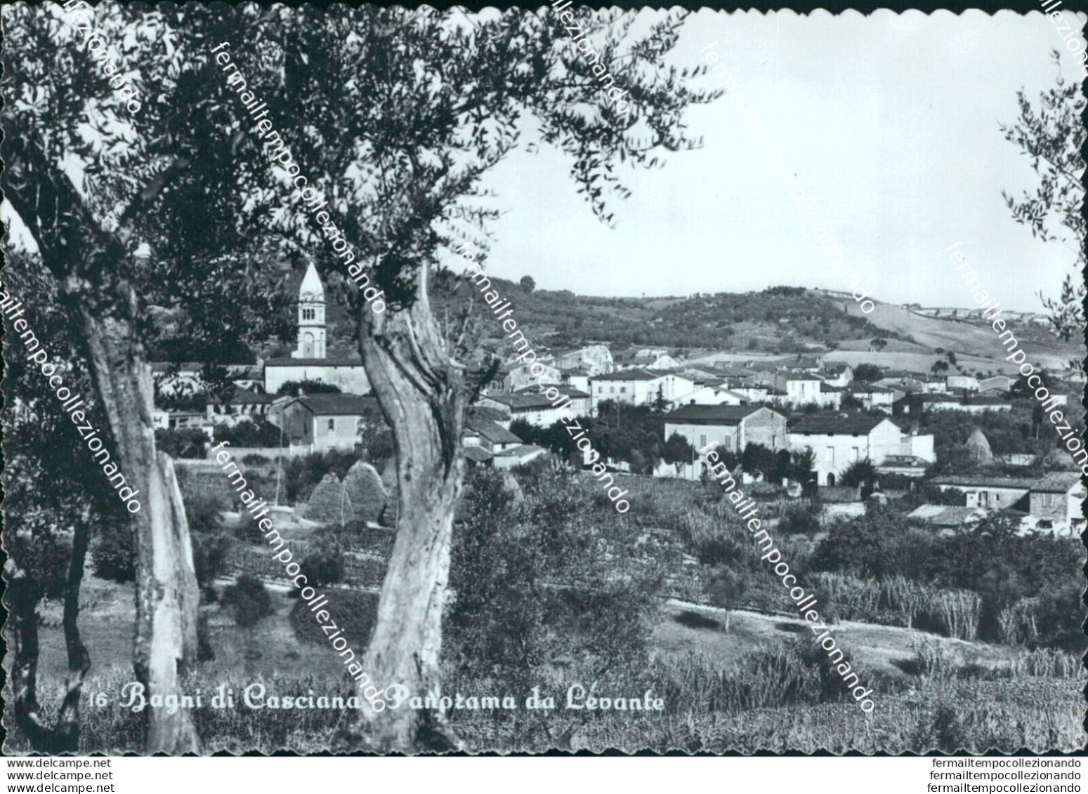 Bo537 Cartolina Bagni Di Casciana Panorama Da Levante Provincia Di Pisa - Pisa