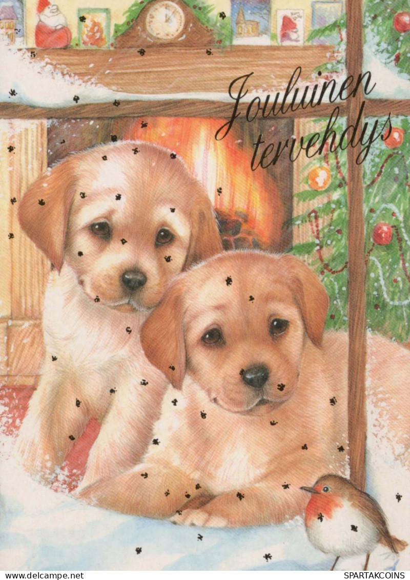 PERRO Feliz Año Navidad Vintage Tarjeta Postal CPSM #PAW414.A - Dogs