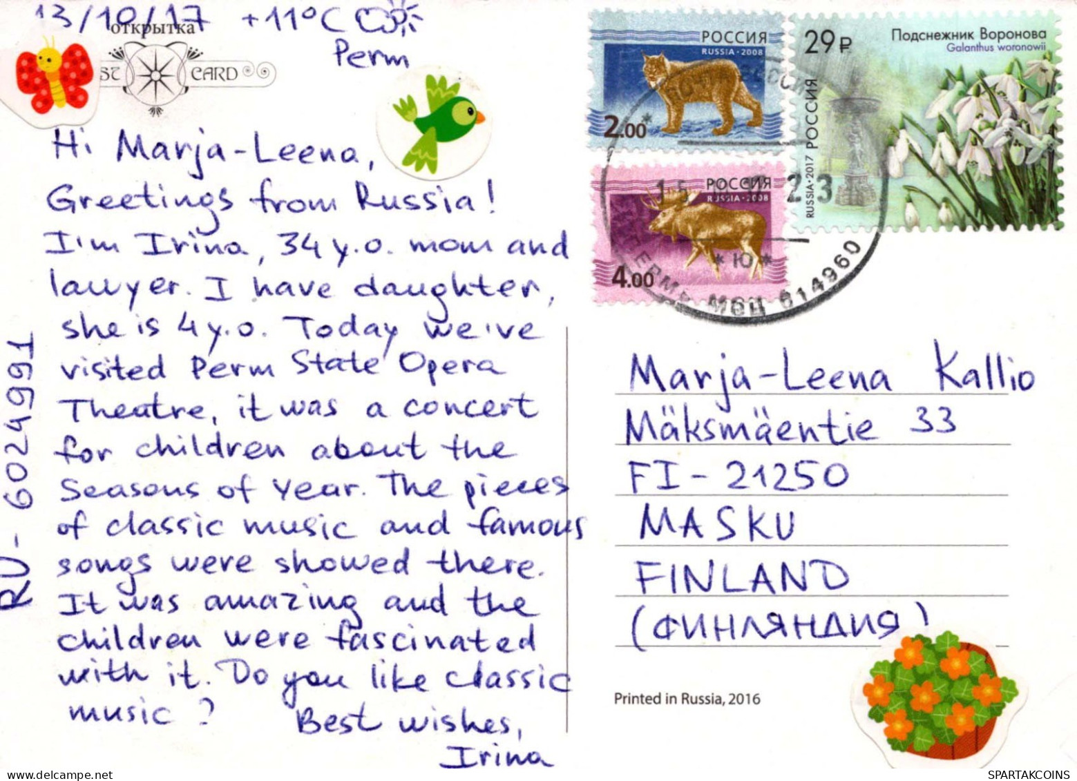OSO Animales Vintage Tarjeta Postal CPSM #PBS101.A - Ours