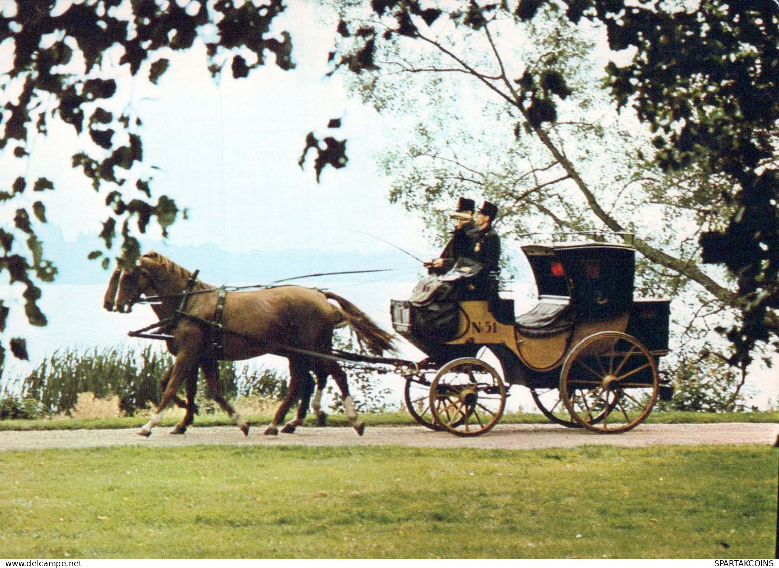 HORSE Animals Vintage Postcard CPSM #PBR894.A - Cavalli