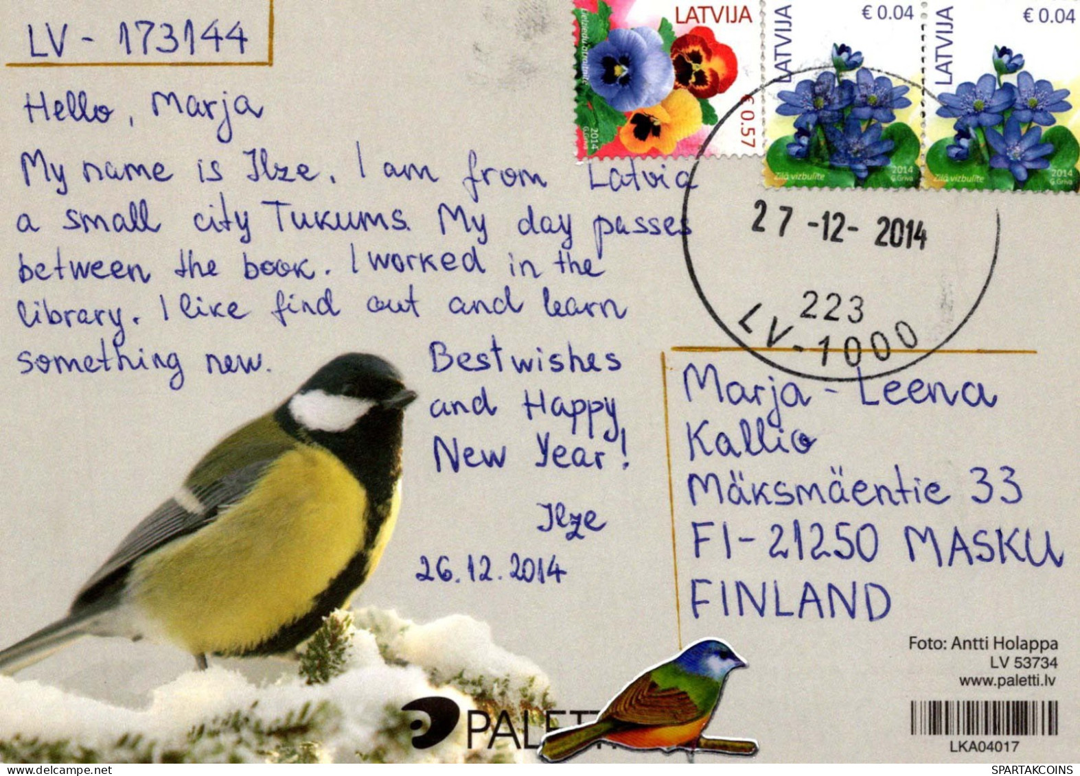 PÁJARO Animales Vintage Tarjeta Postal CPSM #PBR375.A - Birds