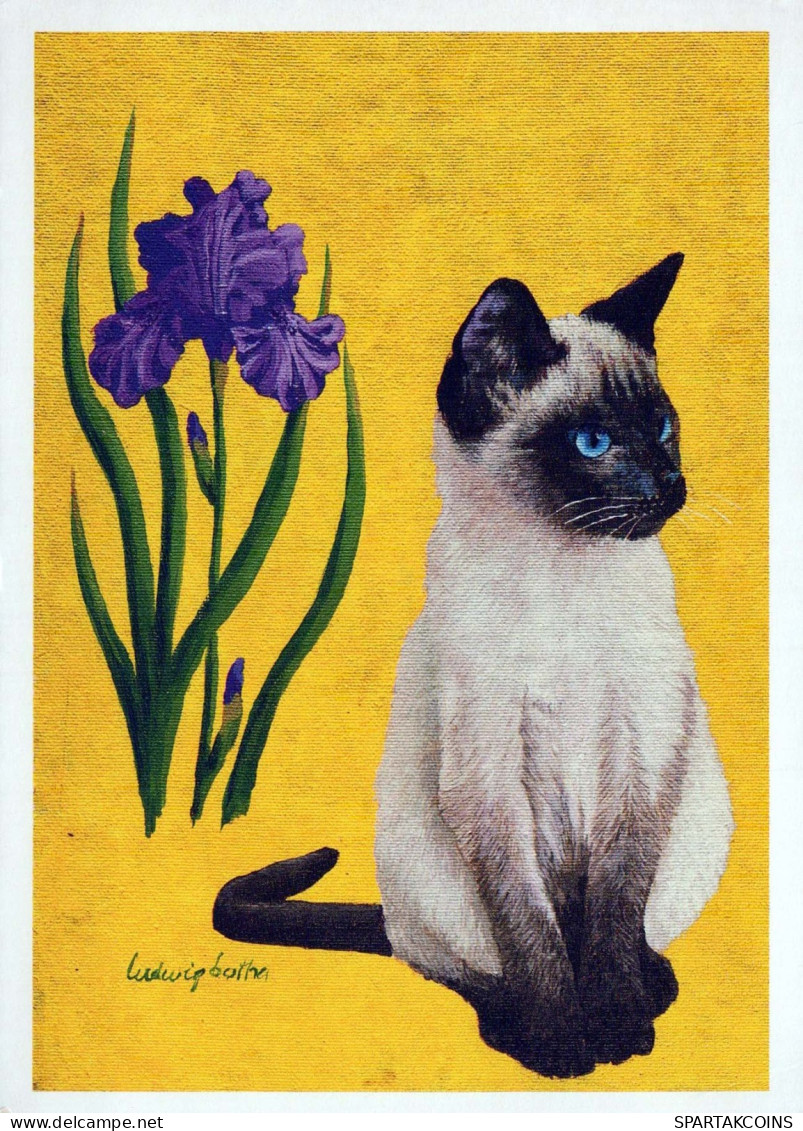 CHAT CHAT Animaux Vintage Carte Postale CPSM #PBR012.A - Chats