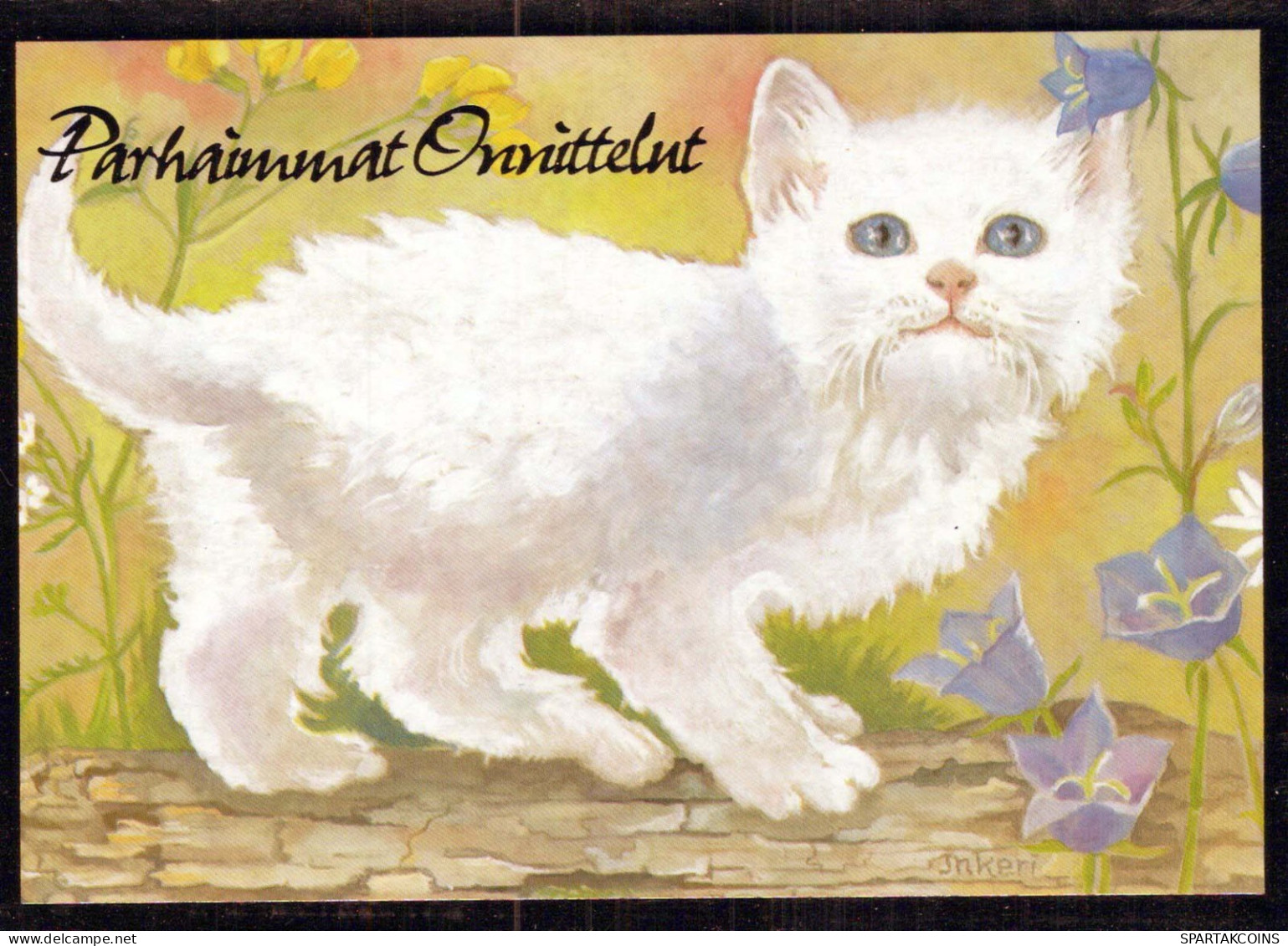 GATTO KITTY Animale Vintage Cartolina CPSM #PBQ825.A - Gatti