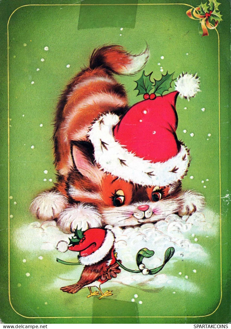 GATTO KITTY Animale Vintage Cartolina CPSM #PBQ795.A - Chats