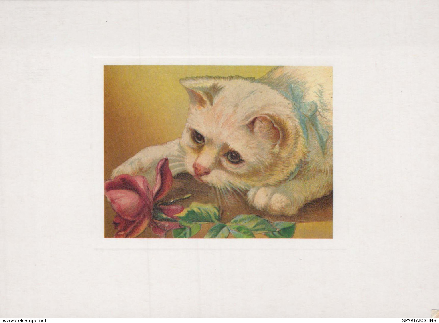 CHAT CHAT Animaux Vintage Carte Postale CPSM #PBQ796.A - Chats