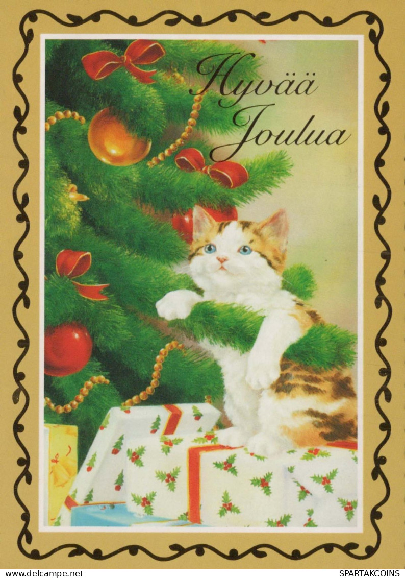 GATTO KITTY Animale Vintage Cartolina CPSM #PBQ780.A - Katzen